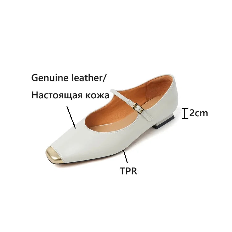 Futurecen  -  NEW Spring/Autumn Women Pumps Genuine Leather Shoes for Women Square Toe Low Heel Shoes Concise Buckle Metal Toe Mary Jane Shoes