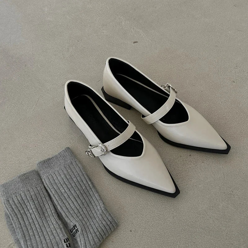 Mary Jane Shoes 2024 New Summer Pointed Toe Low Heel Women Shallow Single Pumps Women Fashion Buckle Shoes