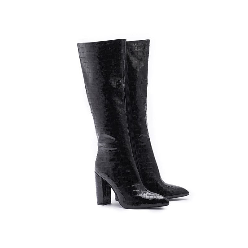 Women Pointed Heeled Boots